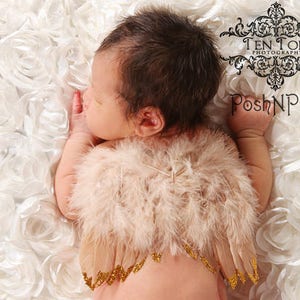 Natural Feather Angel Butterfly Wings, newborn, Baby, Photography prop, Wedding, Choose Colors