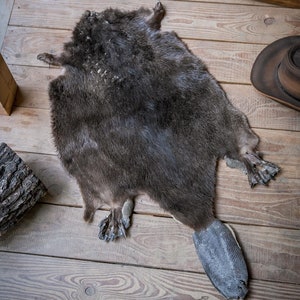 Echtes schwarzes Biberfell, Premium Naturfell, aus Mitteleuropa, Naturfell, Einweihungsgeschenk