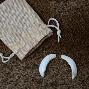 2x Half-Moon Shaped Teeth, Real animal teeth, Tooth, deer teeth collectibles, gift for nature lover, for crafts DIY, craft grade, present