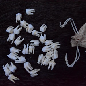 Little &quot;rose&quot; teeth, Real animal teeth, deer teeth present, home decor, for crafts, incisors, DIY, curiosity, oddity, NATURAL material