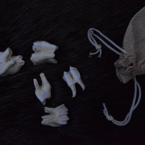5x Red Deer teeth, animal teeth, deer teeth, present, home decor, for crafts, incisors, DIY, magic, curiosity, oddity, NATURAL material