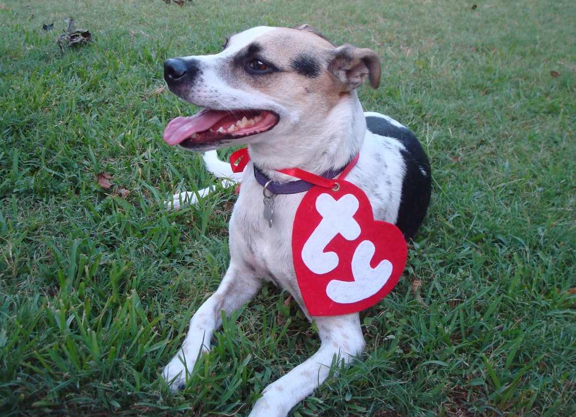 Free Shipping Ty Beanie Boo Costume Dog Costume Beanie Etsy