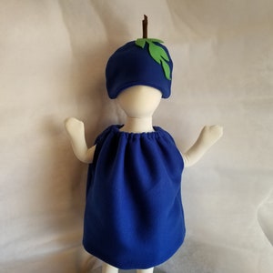 Baby Blueberry Costume For Kids Dress Up Halloween Costume Purim Costume for Infants Fruit Costume Family Costumes Group Costume Halloween image 1