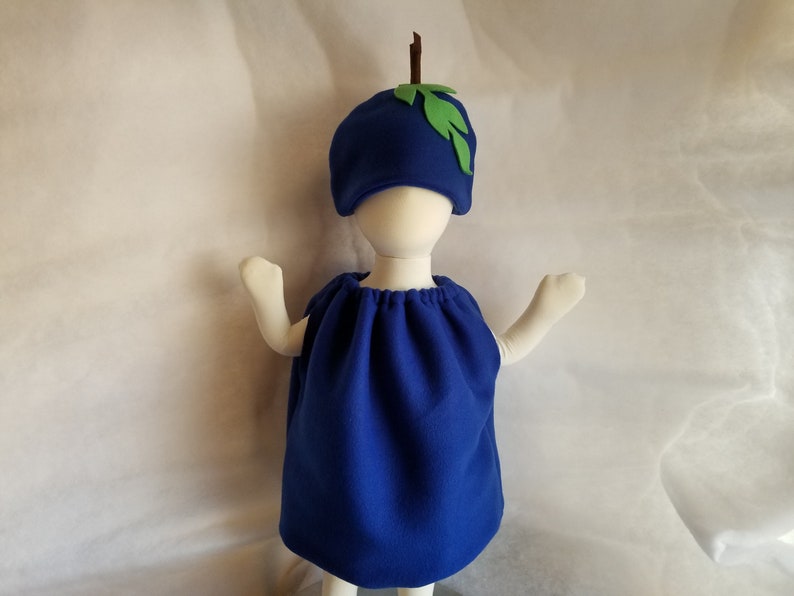 Baby Blueberry Costume For Kids Dress Up Halloween Costume Purim Costume for Infants Fruit Costume Family Costumes Group Costume Halloween image 1