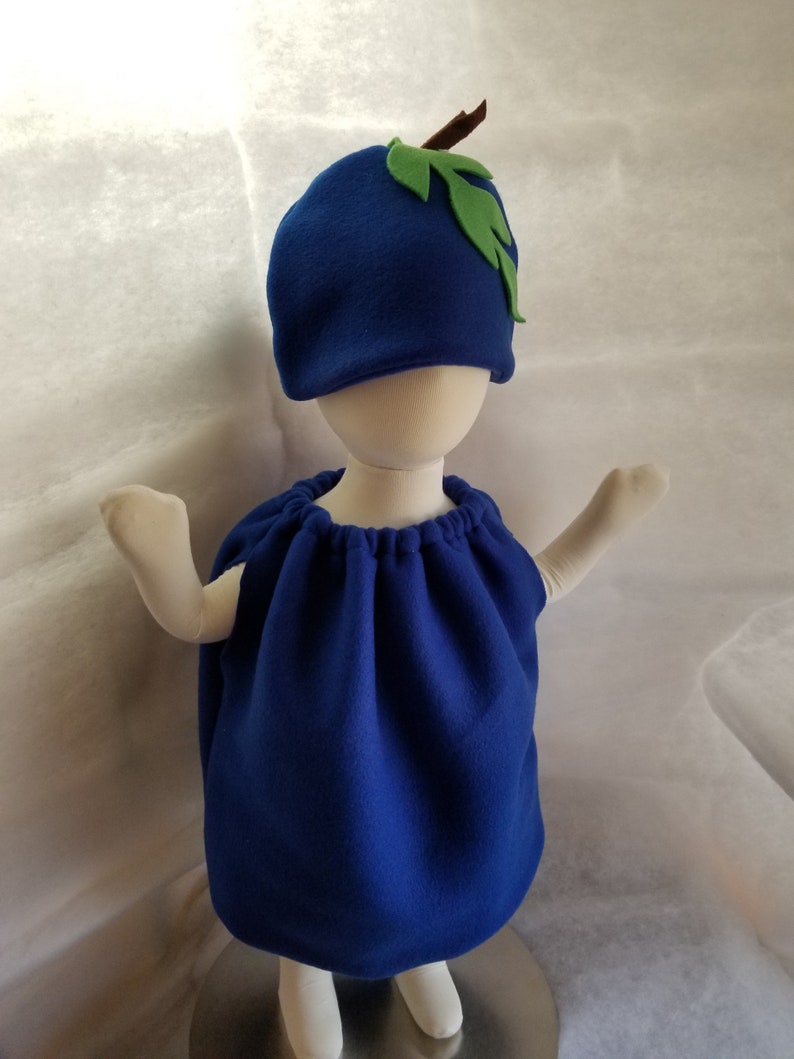 Baby Blueberry Costume For Kids Dress Up Halloween Costume Purim Costume for Infants Fruit Costume Family Costumes Group Costume Halloween image 4