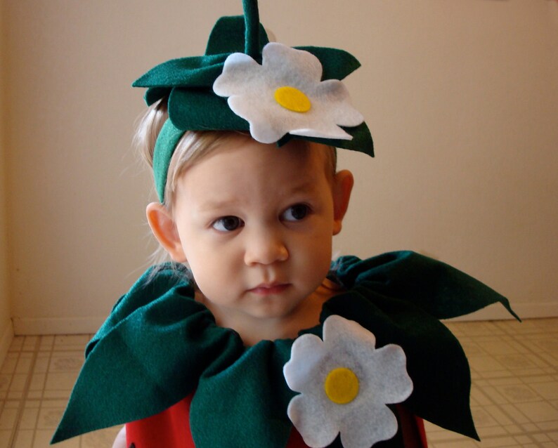 Baby DIY Strawberry Do It Yourself Baby Costume Halloween Costume Strawberry Costume image 5