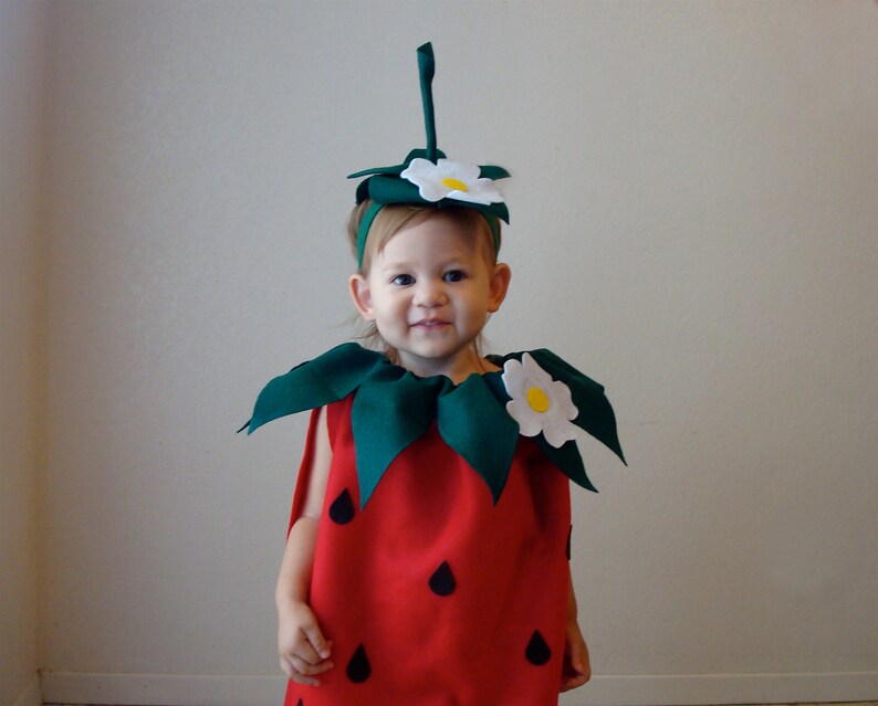 Strawberry Baby Costume for Baby Costume for Infant Strawberry Costume Halloween Baby Costume Toddler Family Costume image 2