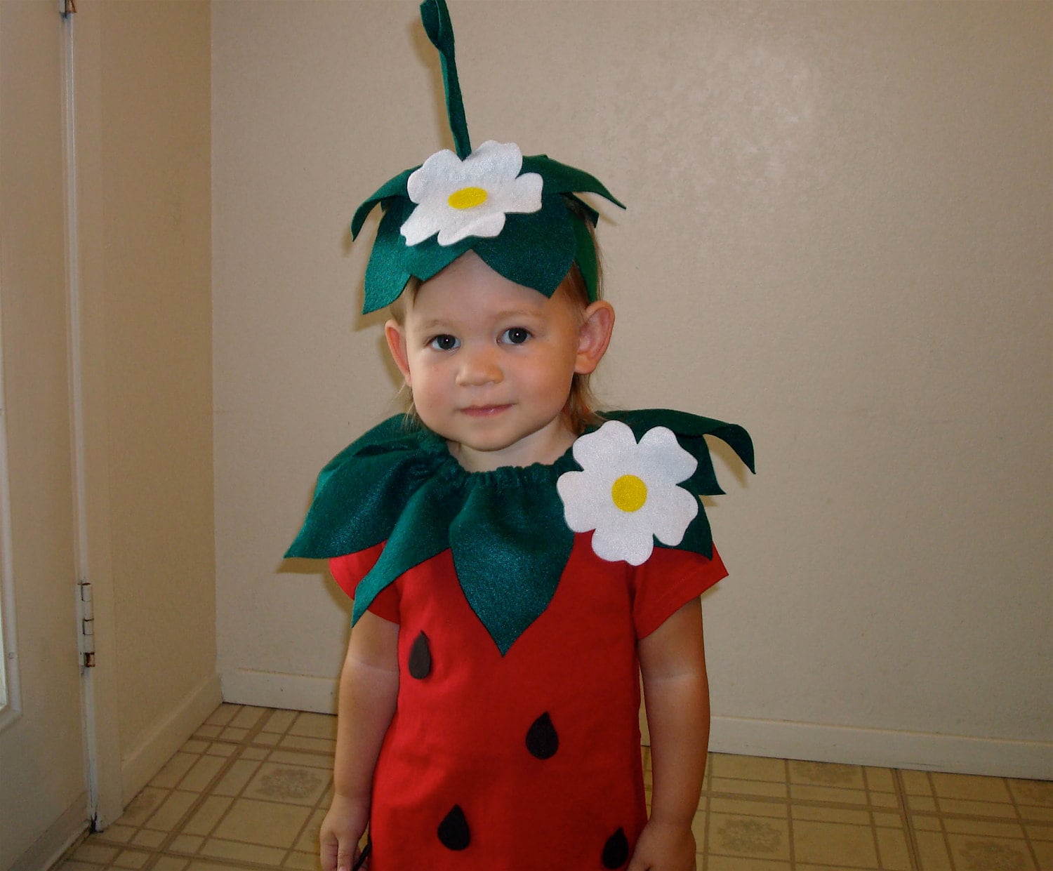 Baby DIY Strawberry Do It Yourself Baby Costume Halloween | Etsy