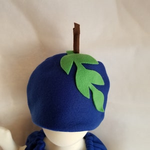 Baby Blueberry Costume For Kids Dress Up Halloween Costume Purim Costume for Infants Fruit Costume Family Costumes Group Costume Halloween image 6