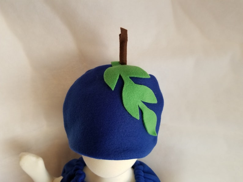 Baby Blueberry Costume For Kids Dress Up Halloween Costume Purim Costume for Infants Fruit Costume Family Costumes Group Costume Halloween image 6