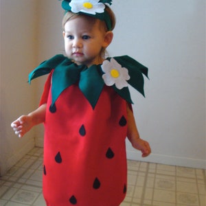 Strawberry Baby Costume for Baby Costume for Infant Strawberry Costume Halloween Baby Costume Toddler Family Costume image 6