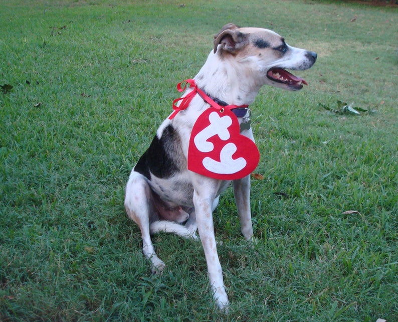 Free Shipping Ty Beanie Boo Costume Dog Costume Beanie Etsy