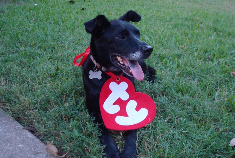 Free Shipping Ty Beanie Boo Costume Dog Costume Beanie Etsy