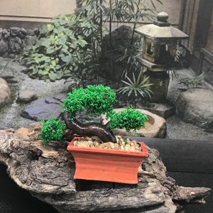 Miniature bonsai