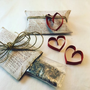 Seeds of Gratitude - Scatola per cuscino in rotolo di carta igienica dipinta a mano riciclata con semi di fiori di campo e dettaglio di cuore - Ecologica