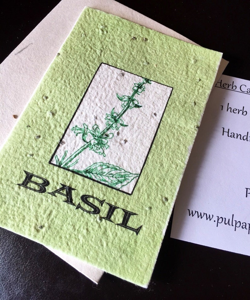 Basil Seeded Card Plant Me Etsy