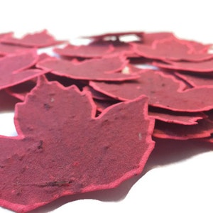 Red Handmade Paper Wildflower Seeded Fall Leaf Favors - 50 count