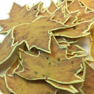 Yellow Handmade Paper Wildflower Seeded Fall Leaf Favors - 50 count