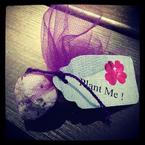 Bomb Favor semi di fiori selvatici - Tulle avvolto - Bombi nuziali / evento ~ 50 conteggi