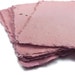 Eco-Friendly Tree Free Handmade Paper ~ Wildflower Seeded Handmade Paper Sheets - 10 Count ~ Any Shade