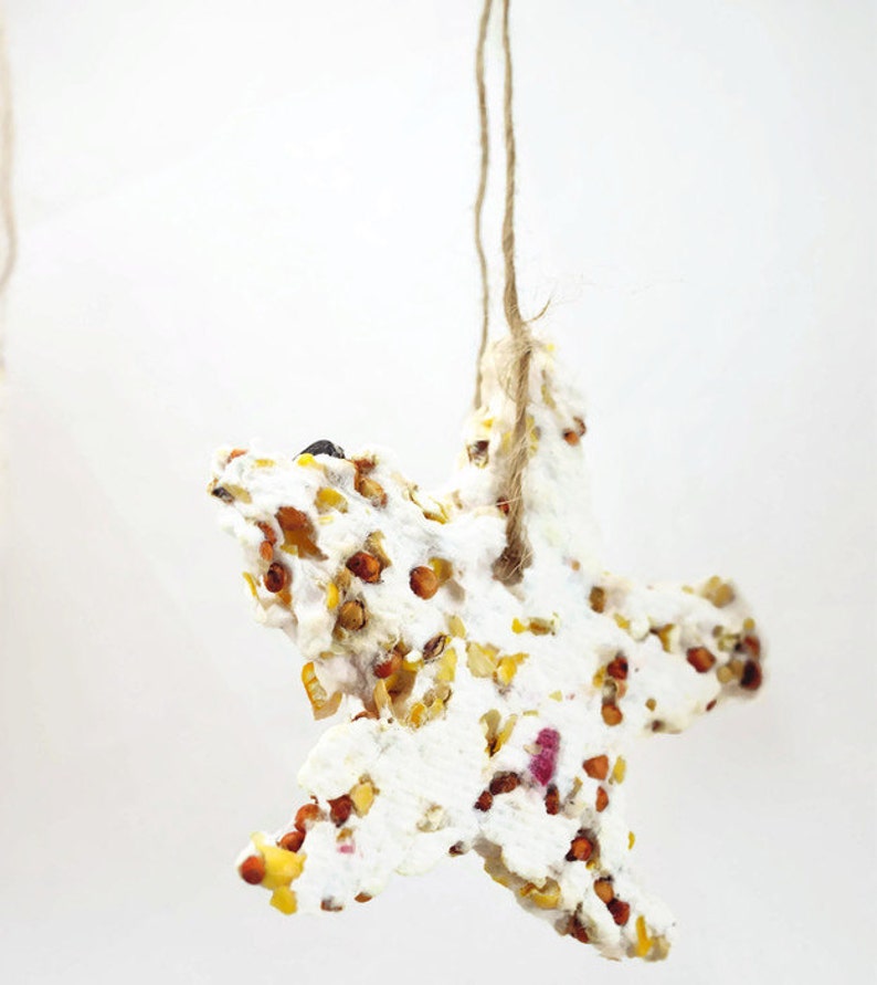 Bird Seed Outdoor Ornaments Etsy