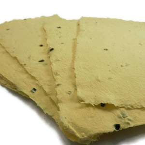 Fogli di carta fatti a mano seminati a fiori selvatici - 10 fogli