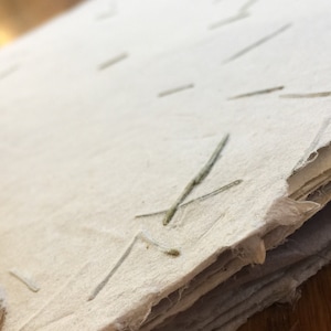 Carta fatta a mano con ago di pino ~ Fibra di cotone e fibra di abaca ~ 8,5 pollici x 11 pollici - 10 fogli