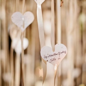 Bomboniere a forma di cuore in carta con semi di fiori selvatici - 50 pezzi - 3 pollici - Personalizzazione gratuita