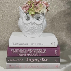 Bundle Stack Set of Pink Mauve Brown Gray Books - Used - Decorative Display Books