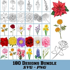 Birth Month Flower Clipart, Birth Flower PNG, Birth Month Flower Bouquet, Birth Month Flower Svg Bundle, Birth Flowers, Floral Clipart