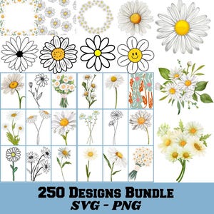 Daisy SVG Bundle, Daisy Flower Svg, Daisy PNG Bundle, floral svg, clipart fleur, clipart Daisy, aquarelle Daisy, svg fleurs sauvages
