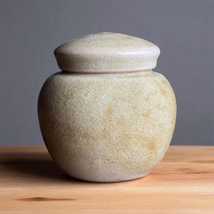 Handmade Stoneware Cremation Urn – 65 cu in, 5.5”x5” – Glossy  Ceramic Memorial Jar for Human or Pet Ashes, Indoor/Outdoor - WGSH-65cu-3