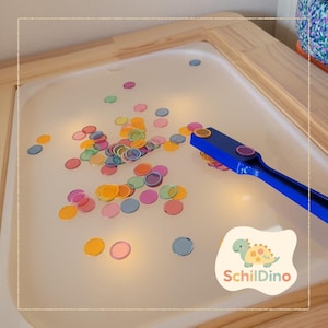 Könnte beinhalten: Ein sensorisches Spielset mit einer weißen Schale, gefüllt mit bunten, durchscheinenden Scheiben in Rosa, Orange, Grün und Blau. Ein blauer Magnetstab hebt die Scheiben auf. Das SchilDino-Logo ist sichtbar.