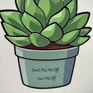 May include: A green succulent plant in a white pot with the text "Don't Piss Me Off" and "Succ Me Off" on the pot.