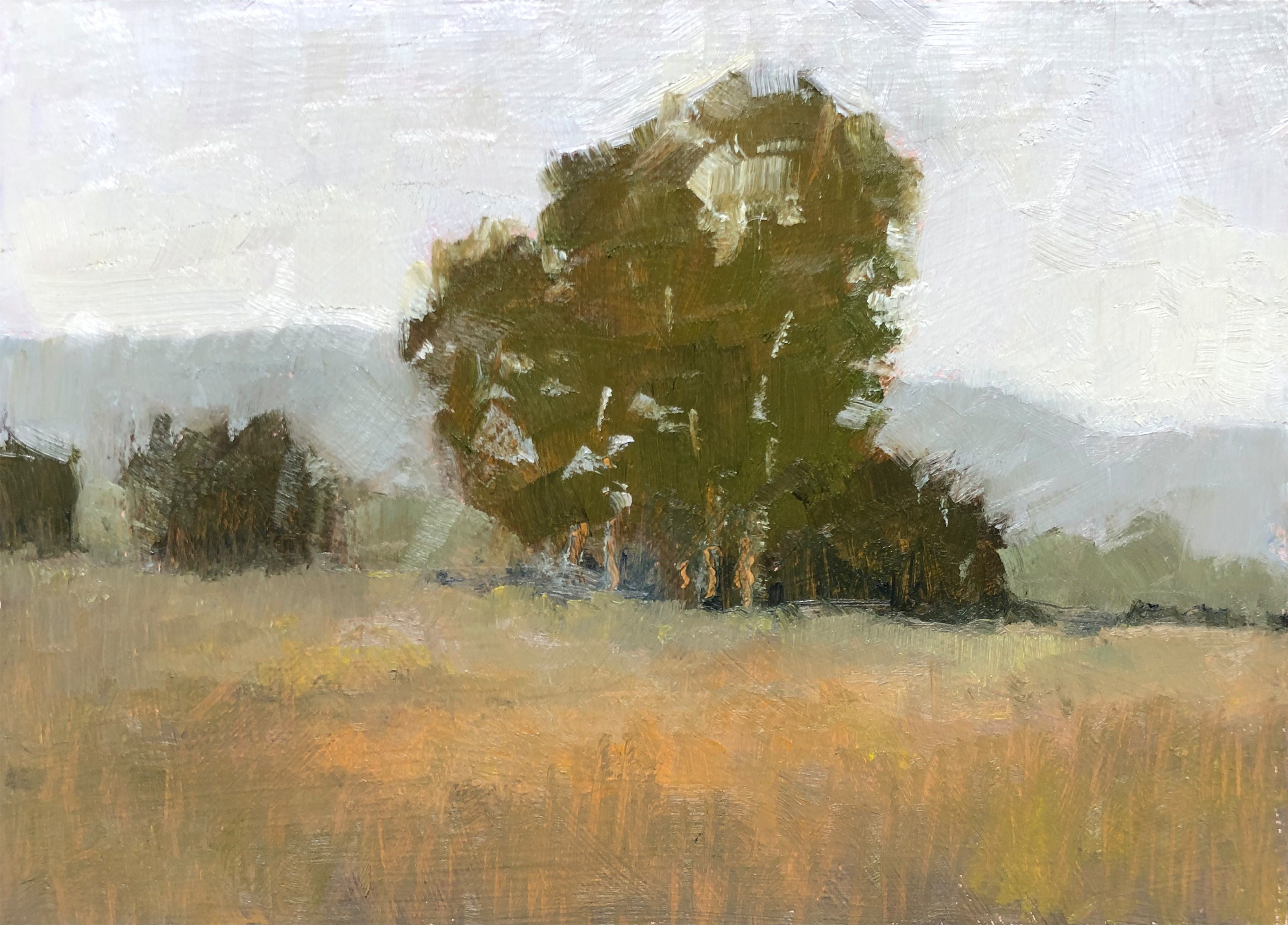 California Eucalyptus Oil Painting Original Landscape 5 | Etsy