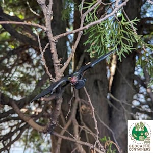 Puede incluir: Un murciélago de plástico negro colgado de una rama de árbol. El murciélago es un contenedor de geocache.
