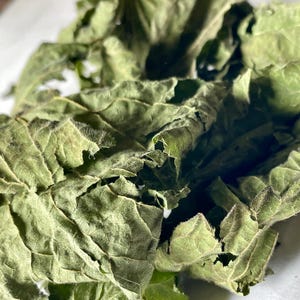 Dried Stinging Nettle Leaf