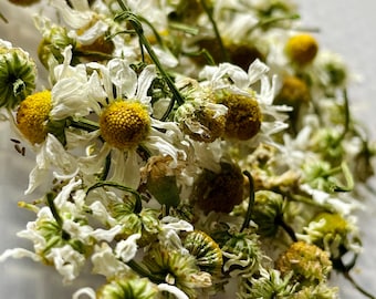 Dried German Chamomile
