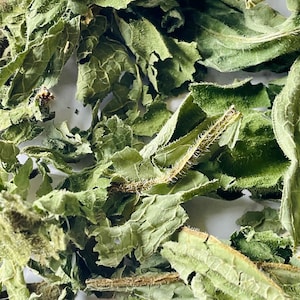 May include: Close-up of dried green leaves with textured surfaces. The leaves have a variety of shapes and sizes, with visible veins and edges. The image highlights the natural textures and colors of the dried plant material.