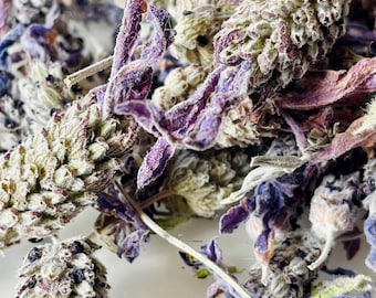 Dried French Lavender