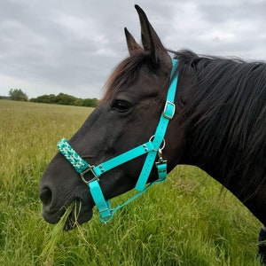 Biothane paracord halter