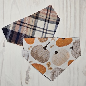 May include: Two triangular pet bandanas. One features a brown, cream, and navy blue plaid pattern. The other is white with a repeating print of orange, gray, and textured pumpkins, along with small brown acorns and scattered autumn leaves.