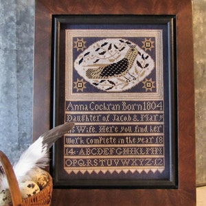 PDF of Anna's Bird
