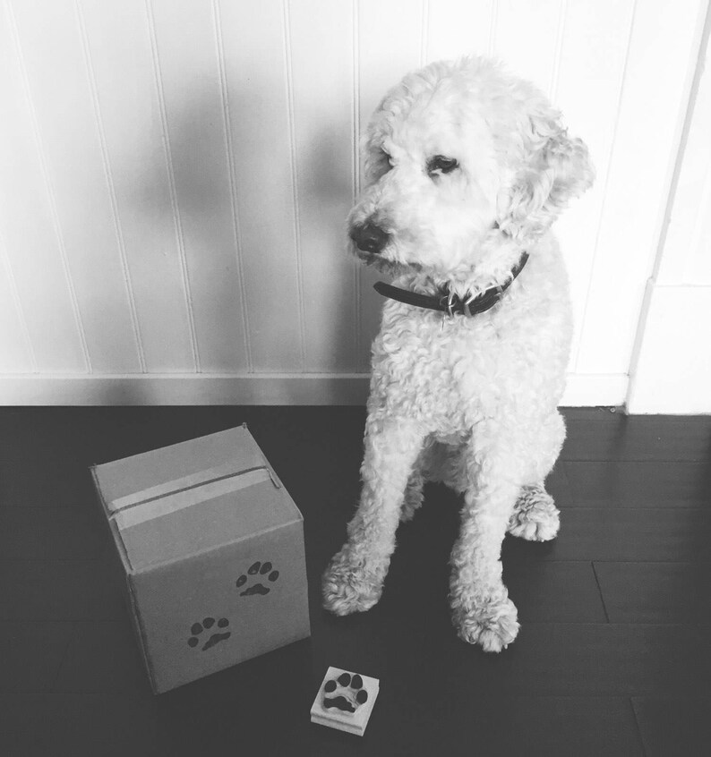 Custom Hand-Carved Wood Mounted Rubber Stamp of Your Pet/'s Pawprint 2