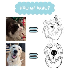 Op de afbeelding: Een afbeelding die het proces van het tekenen van huisdieren laat zien. De bovenste helft toont een kattenfoto en de bijbehorende lijntekening. De onderste helft toont een foto van een golden retriever en zijn lijntekening. De tekst "HOW WE DRAW?" staat bovenaan.