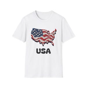 Bunch Bunt Vintage T-Shirt, Unisex Softstyle T-Shirt, Unabhängigkeitstag Kleid, Sommer Grillkleidung, American Pride Shirt, Geschenke für Veteranen