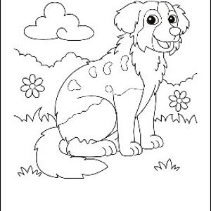 Kids colouring book