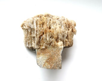 May include: A natural mineral specimen featuring a cluster of translucent, crystalline structures atop a rough, beige-colored base. The crystals have a light, off-white hue, and the base has a textured, granular appearance.