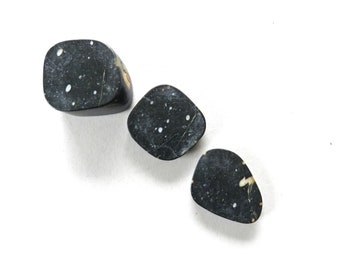 May include: Three polished black stones with white and tan speckles are arranged on a white surface. The stones have rounded edges and varying shapes, with a smooth, reflective surface. The stones are likely used for decorative or metaphysical purposes.