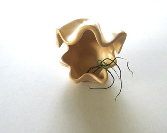 May include: A beige ceramic bowl with a wavy, scalloped rim. The bowl has a star-like shape and contains a small green plant. The bowl is set against a white background, creating a clean and minimalist aesthetic.